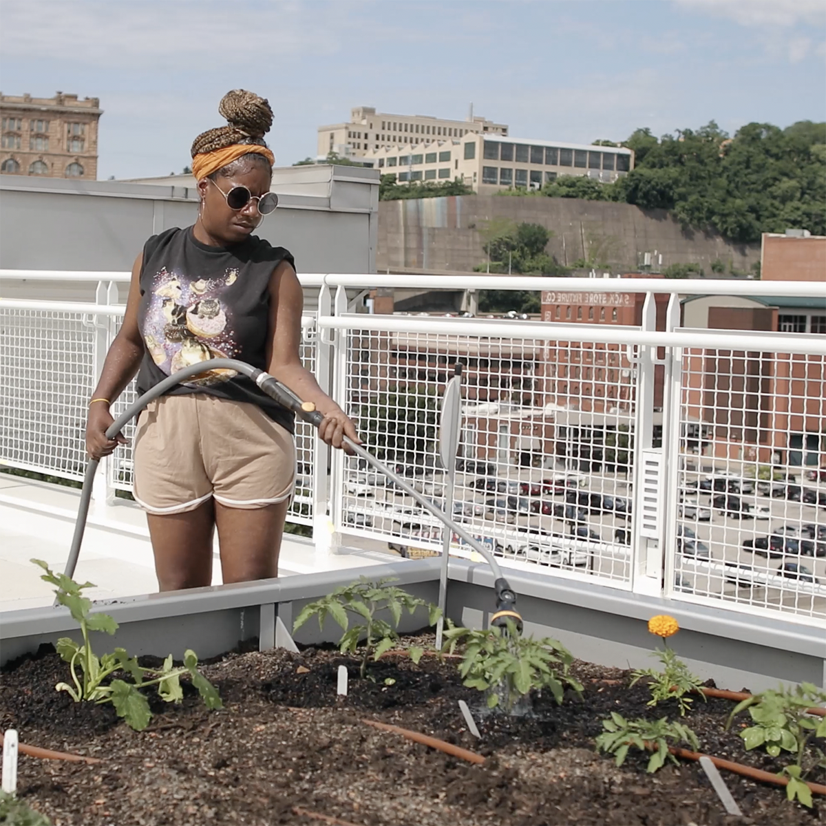图为一名学生拿着软管在屋顶花园浇灌一个长满植物的花园床